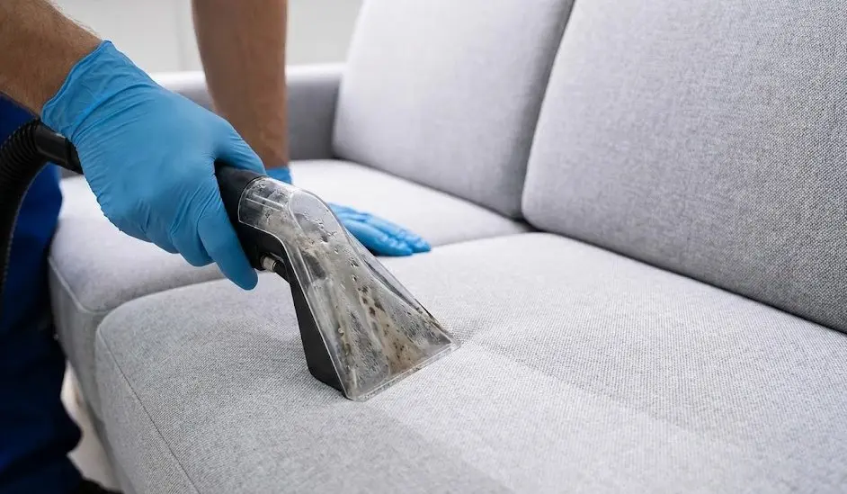 Limpieza de sofá